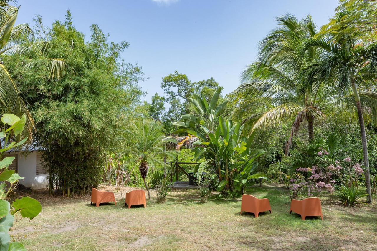 Vieques Tropical Guest House Exteriör bild